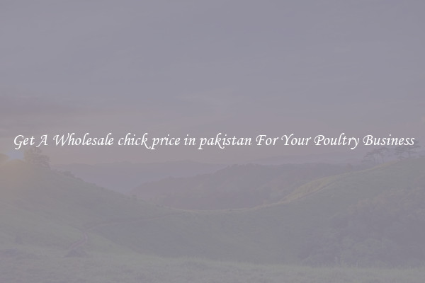 Get A Wholesale chick price in pakistan For Your Poultry Business