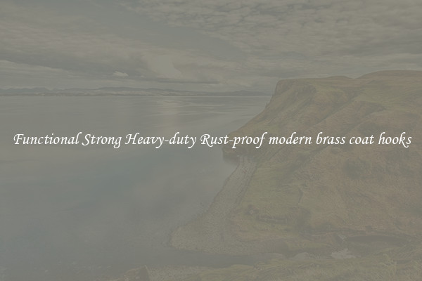 Functional Strong Heavy-duty Rust-proof modern brass coat hooks