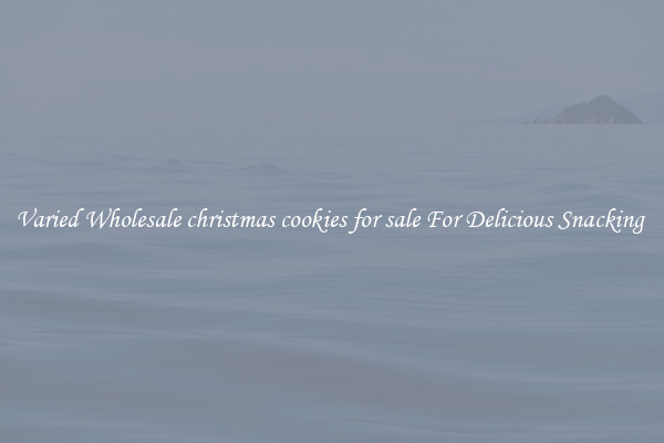 Varied Wholesale christmas cookies for sale For Delicious Snacking 
