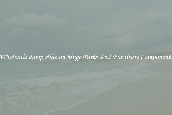 Wholesale damp slide on hinge Parts And Furniture Components