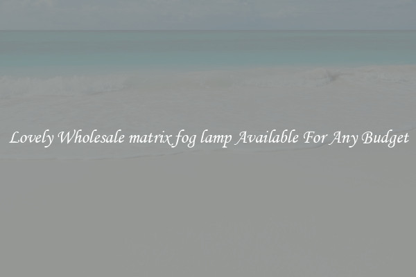 Lovely Wholesale matrix fog lamp Available For Any Budget