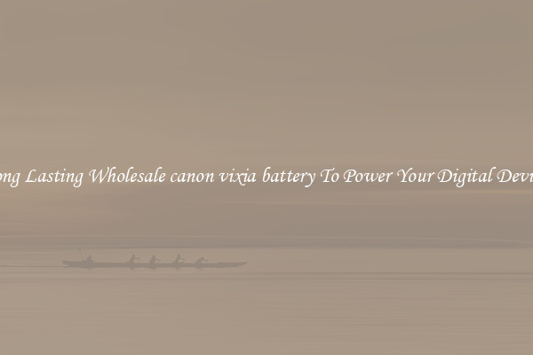 Long Lasting Wholesale canon vixia battery To Power Your Digital Devices