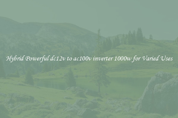 Hybrid Powerful dc12v to ac100v inverter 1000w for Varied Uses