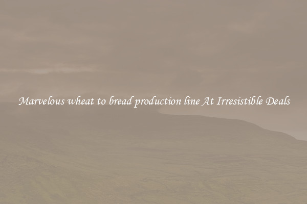 Marvelous wheat to bread production line At Irresistible Deals