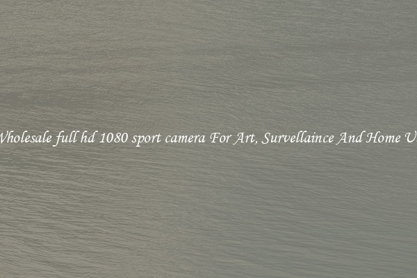 Wholesale full hd 1080 sport camera For Art, Survellaince And Home Use