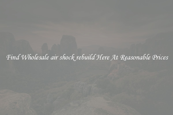 Find Wholesale air shock rebuild Here At Reasonable Prices