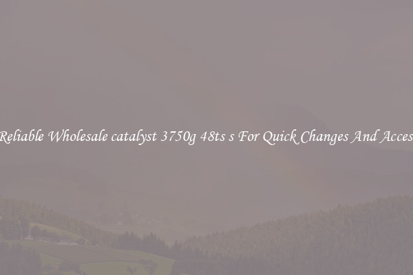 Reliable Wholesale catalyst 3750g 48ts s For Quick Changes And Access