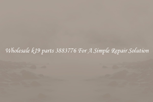 Wholesale k19 parts 3883776 For A Simple Repair Solution
