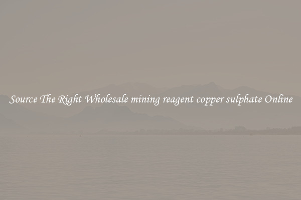 Source The Right Wholesale mining reagent copper sulphate Online