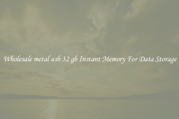 Wholesale metal usb 32 gb Instant Memory For Data Storage