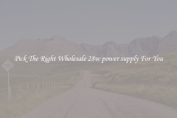 Pick The Right Wholesale 28w power supply For You