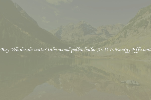 Buy Wholesale water tube wood pellet boiler As It Is Energy Efficient