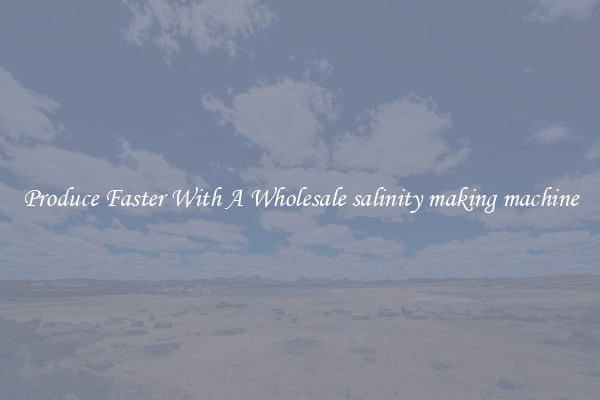 Produce Faster With A Wholesale salinity making machine
